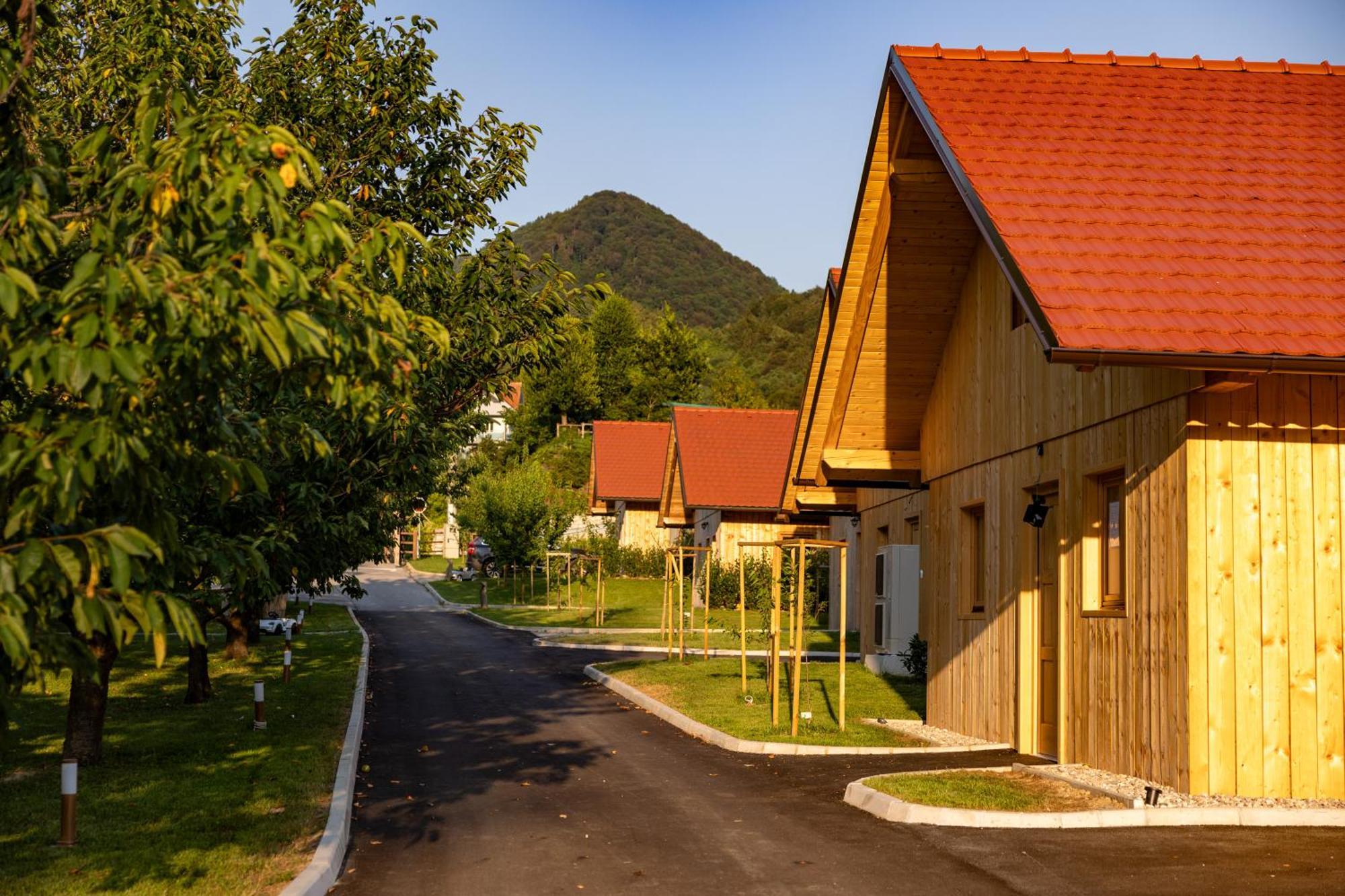 Martinova Izba - Family Bungalows Laško Exterior foto